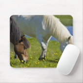 Isländische Pferde in Western Island. Mousepad (Mit Mouse)