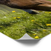 Isländische Pferde in Western Island. Poster (Ecke)