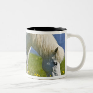 Isländische Pferde in Western Island. Zweifarbige Tasse