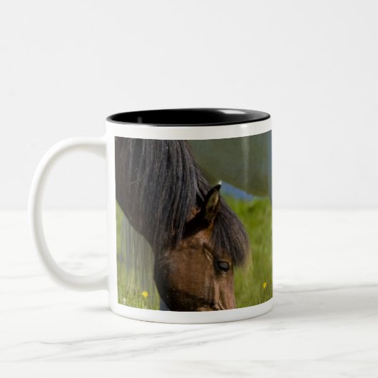 Isländische Pferde in Western Island. Zweifarbige Tasse (Links)