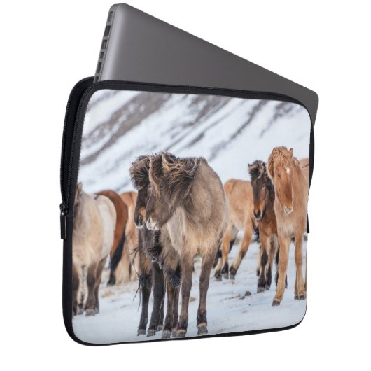 Isländische Pferde in Winterweide in der Nähe von  Laptopschutzhülle (Vorne Rechts)