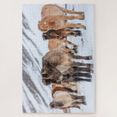 Isländische Pferde in Winterweide in der Nähe von Puzzle (Vertikal)