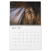 Isländische Pferde Kalender (Feb 2027)