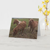 Isländische Pferde Karte (Gelbe Blume)