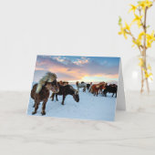 Isländische Pferde Karte (Gelbe Blume)