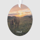 Isländische Pferde - Keramik Ornament (Vorderseite)