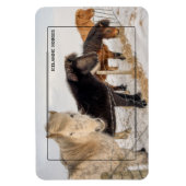 Isländische Pferde Magnet (Vertikal)