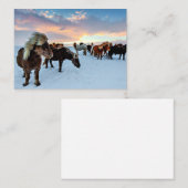 Isländische Pferde Mitteilungskarte (Vorne/Hinten)