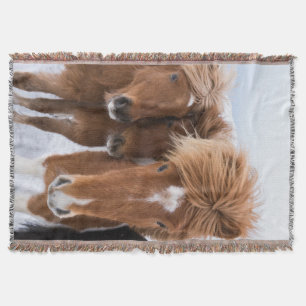 Isländische Pferde-Nussbaum, Island Decke