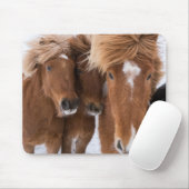 Isländische Pferde-Nussbaum, Island Mousepad (Mit Mouse)