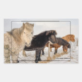 Isländische Pferde Rechteckiger Aufkleber (Vorderseite)