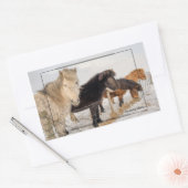 Isländische Pferde Rechteckiger Aufkleber (Umschlag)