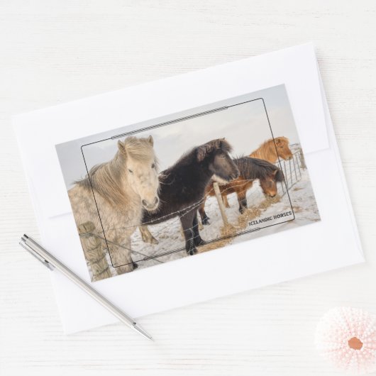 Isländische Pferde Rechteckiger Aufkleber (Umschlag)
