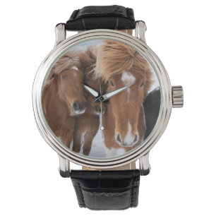 Isländische Pferde schmiegen sich an, Island Armbanduhr
