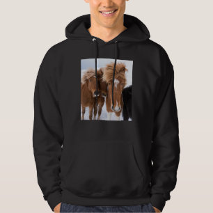Isländische Pferde schmiegen sich an, Island Hoodie