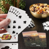 Isländische Pferde - Spielkarten (In Situ)