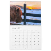 Isländische Pferde und Mini-Donkey-Kalender Kalender (Jan 2027)