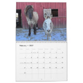 Isländische Pferde und Mini-Donkey-Kalender Kalender (Feb 2027)