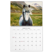 Isländische Pferde Wildlife Fotografy Custom Year Kalender (Mär 2026)
