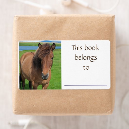 Isländische Pferdebücherei (Insitu)