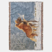 Isländische Pferdefoals im sonnigen Foto Decke (Vorderseite Vertikal)