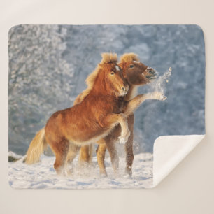 Isländische Pferdefoals im sonnigen Foto Sherpadecke