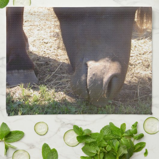 Isländische PferdeGeschirrtücher Küchentuch (Gefaltet)