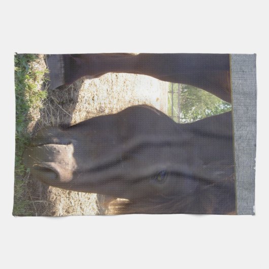 Isländische PferdeGeschirrtücher Küchentuch (Horizontal)