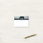 Isländische Pferdepost-itanmerkungen Post-it Klebezettel (Auf Schreibtisch)