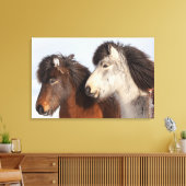 Isländische Pferdeprofil, Island Leinwanddruck (Insitu (Wohnzimmer))