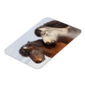 Isländische Pferdeprofil, Island Magnet (Linke Seite)