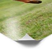 Isländische Pferdestadt am Tölt Funny für Pferdefr Fotodruck (Ecke)