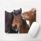Isländische Pferdfreunde, Island Mousepad (Mit Mouse)