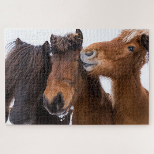 Isländische Pferdfreunde, Island Puzzle