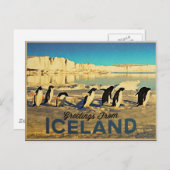 Isländische Pinguine Postkarte (Vorne/Hinten)