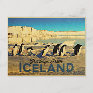 Isländische Pinguine Postkarte