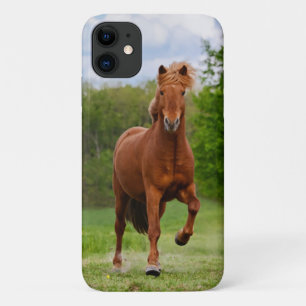 Isländische Pony in einem Tölt Funny Foto Pferde Case-Mate iPhone Hülle