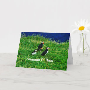 Isländische Puffen im Sommer Karte