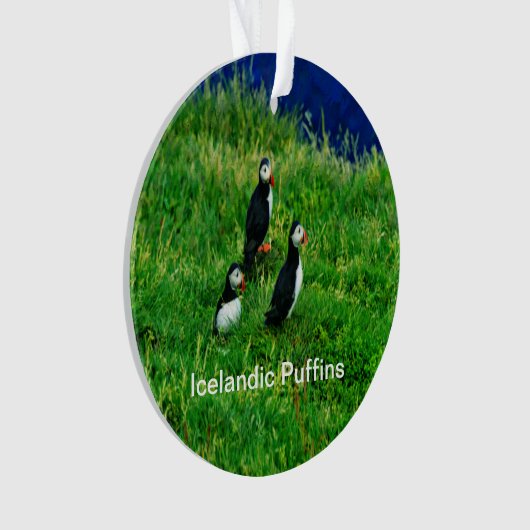 Isländische Puffen im Sommer Ornament (Vorderseite)