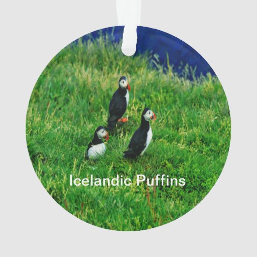 Isländische Puffen im Sommer Ornament (Rückseite)