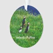 Isländische Puffen im Sommer Ornament (Vorderseite)