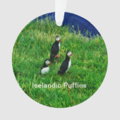 Isländische Puffen im Sommer Ornament (Vorderseite)