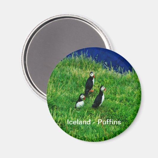 Isländische Puffins Magnet (Vorderseite/Rückseite)