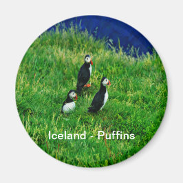 Isländische Puffins Magnet