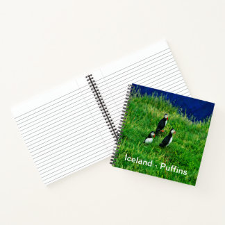 Isländische Puffins Notizblock
