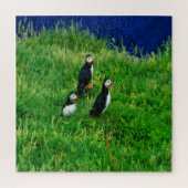 Isländische Puffins Puzzle (Vertikal)
