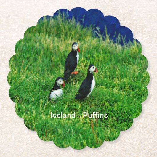 Isländische Puffins Untersetzer (Vorderseite)