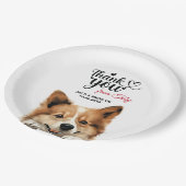 Isländische Sheepdog Pappteller (Schrägansicht)