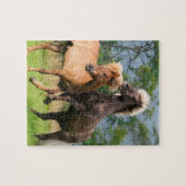 Isländische spielende und aufrichtende Pferde Puzzle (Horizontal)