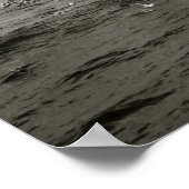 Isländische Vogelherde Poster (Ecke)